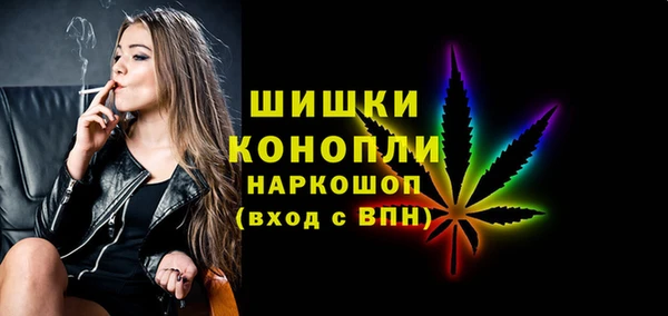 мдпв Бронницы