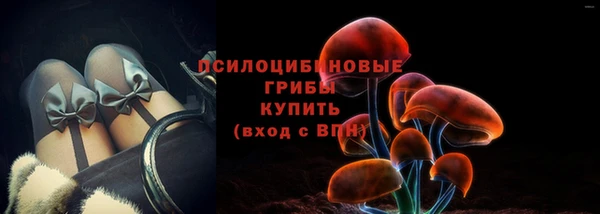 apvp Бугульма
