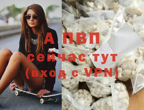 ГАЛЛЮЦИНОГЕННЫЕ ГРИБЫ Бородино