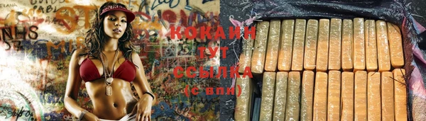 мдпв Бронницы