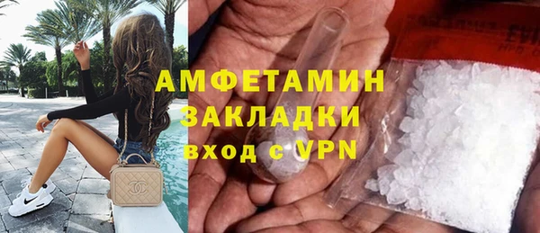 ГАЛЛЮЦИНОГЕННЫЕ ГРИБЫ Бородино