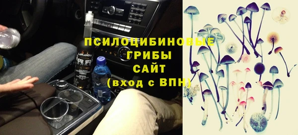 мдпв Бронницы